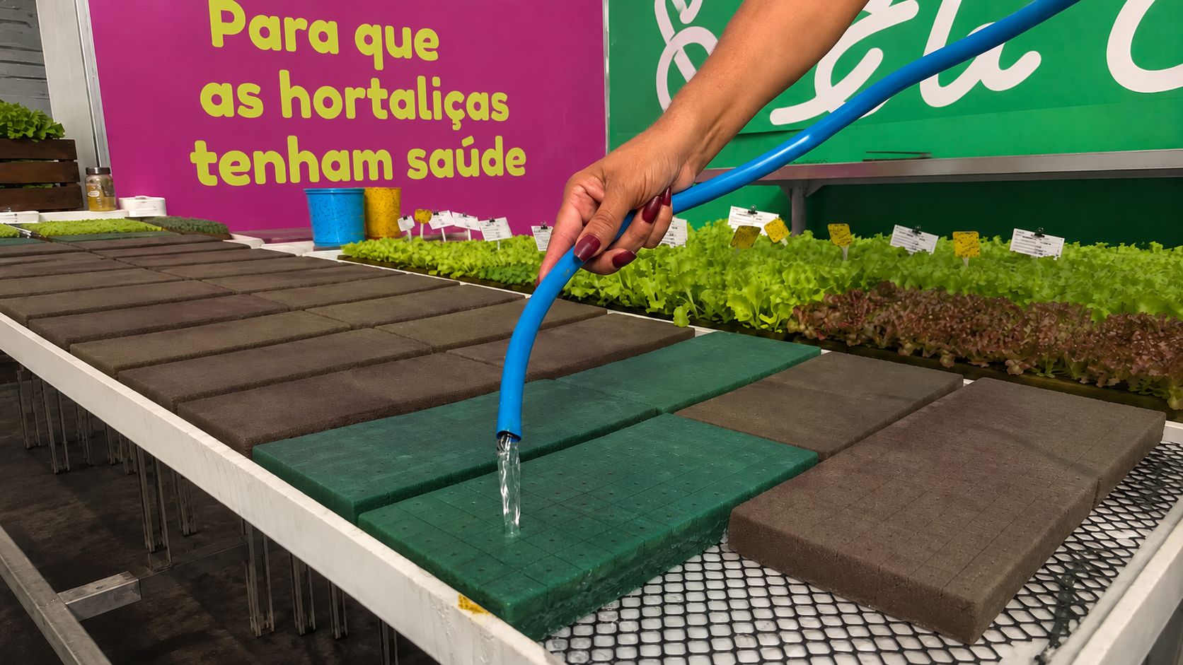 controle de umidade na produção de mudas